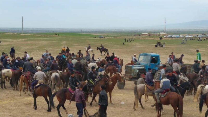 Samarkand: Uloq-Kopkari (Buzkashi) Game Day Tour - Detailed Breakdown of the Experience