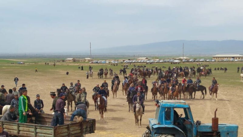 Samarkand: Uloq-Kopkari (Buzkashi) Game Day Tour - Final Thoughts: Who Is This Tour Best For?