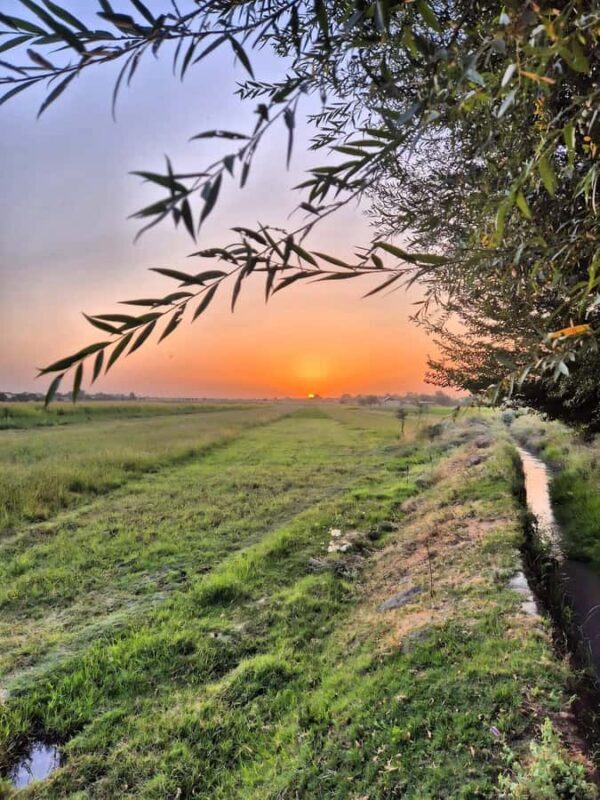 Samarkand: Village Tour with Homemade Dinner & Milking a Cow - A Closer Look at the Village Tour Experience