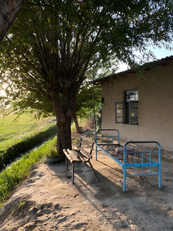 Samarkand: Village Tour with Homemade Dinner & Milking a Cow - Practical Details and What to Expect