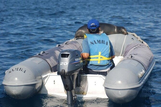 samba-cruise-at-galapagos-islands