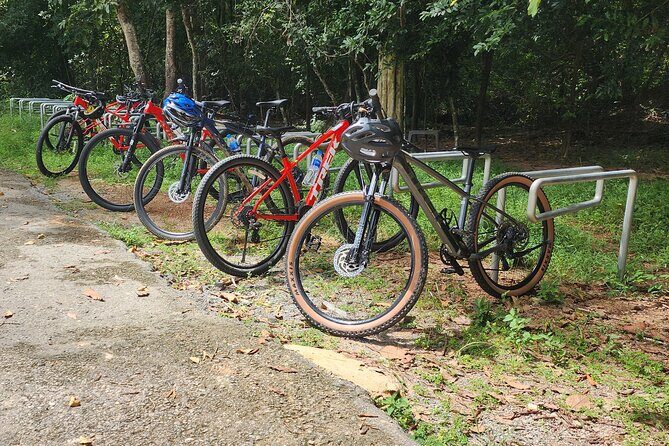 Sambor Preikuk Cycling Tour - Sambor Preikuk Cycling Tour Review