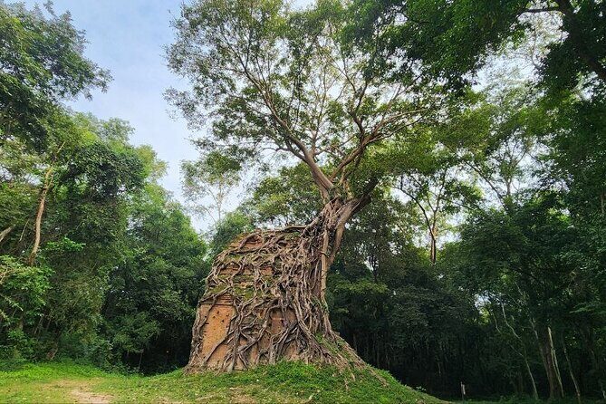 Sambor Preikuk Cycling Tour - The Sum Up