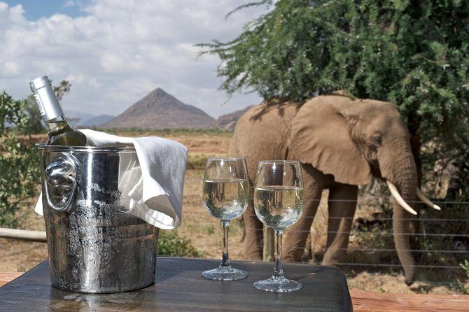 Samburu/ Aberdare/ Lake Nakuru/ Masai Mara 7 Days Safari - Who Is This Safari Best Suited For?