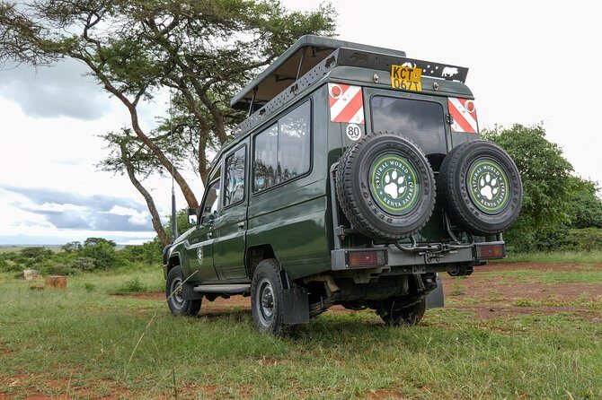 Samburu, Lake Nakuru & Masai Mara 6 Days Private 4x4 Jeep Safari - Price & Value