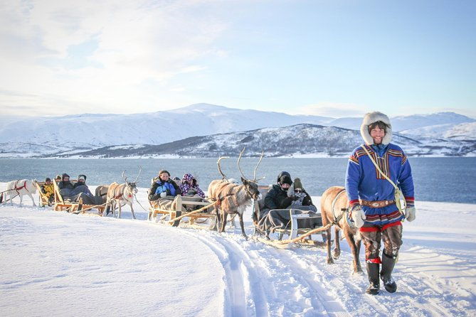 sami-culture-and-short-reindeer-sledding-from-tromso