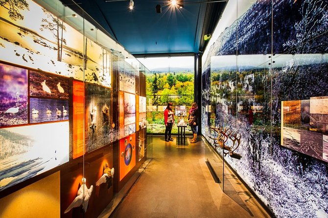 sami-village-inari-and-siida-museum-by-car