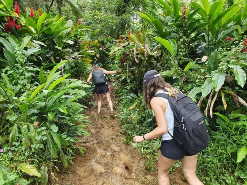 Samoa: Lake Lanoto'o Volcanic Crater Lake Hike & Swim - Samoa: Lake Lanotoo Volcanic Crater Lake Hike & Swim - A Detailed Review