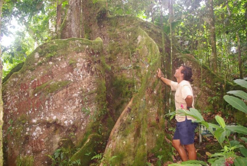 Samoa: National Park Lava Cliffs & Black Sand Beach Day Tour - Key Points