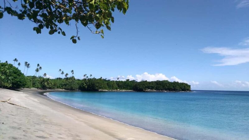 Samoa: National Park Lava Cliffs & Black Sand Beach Day Tour - A Closer Look at the Samoa Lava Cliffs & Black Sand Beach Tour