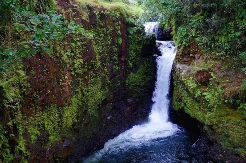 Samoa: Pristine Waters of Upolu, All Inclusive Full Day Tour - Exploring Upolu’s Natural Wonders