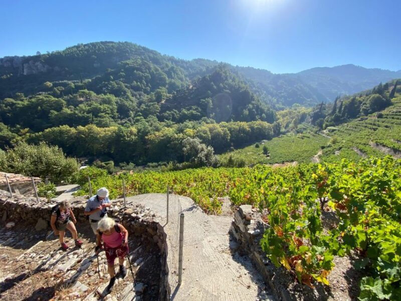 Samos: Full-Day Private Sightseeing Tour - What to Expect from the Samos Private Tour
