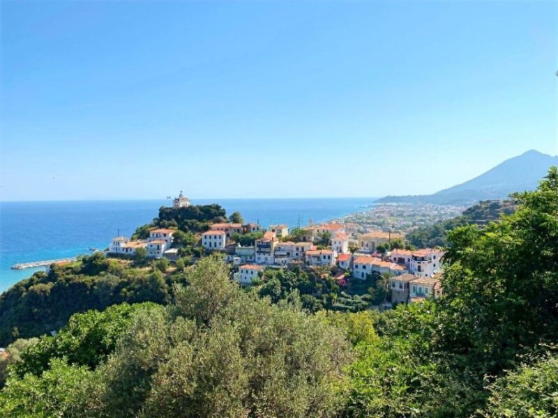 Samos: Full-Day Private Sightseeing Tour - Final Thoughts