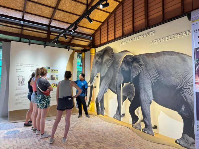 Samui: Elephant Home Sanctuary and the first elephant museum - Introduction