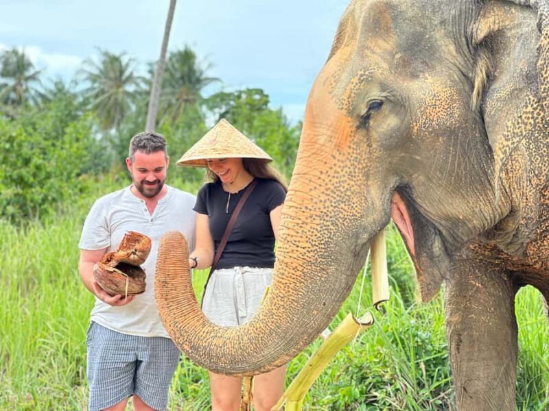 Samui: Elephant Home Sanctuary and the first elephant museum - What Makes This Tour Stand Out?