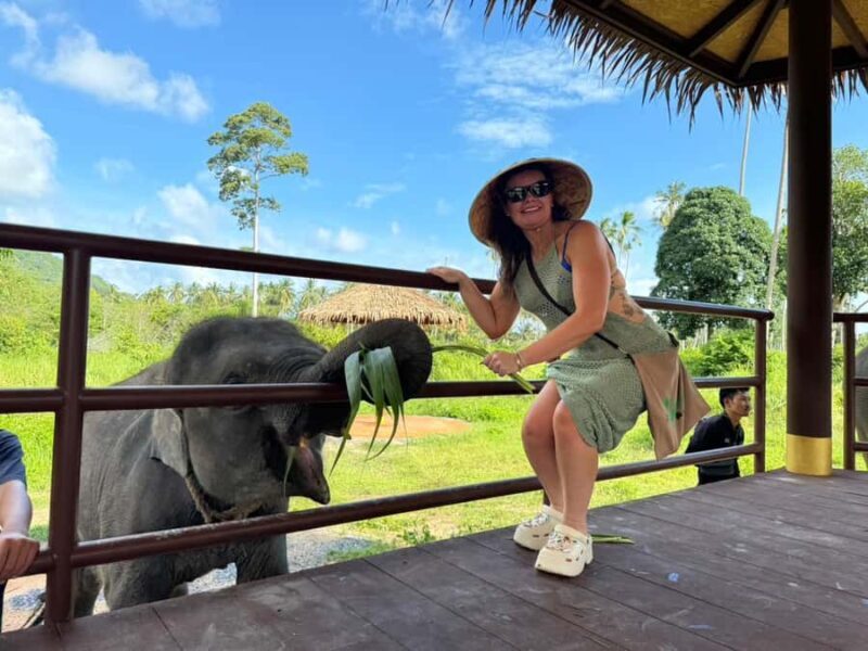 Samui: Elephant Home Sanctuary and the first elephant museum - Practical Details