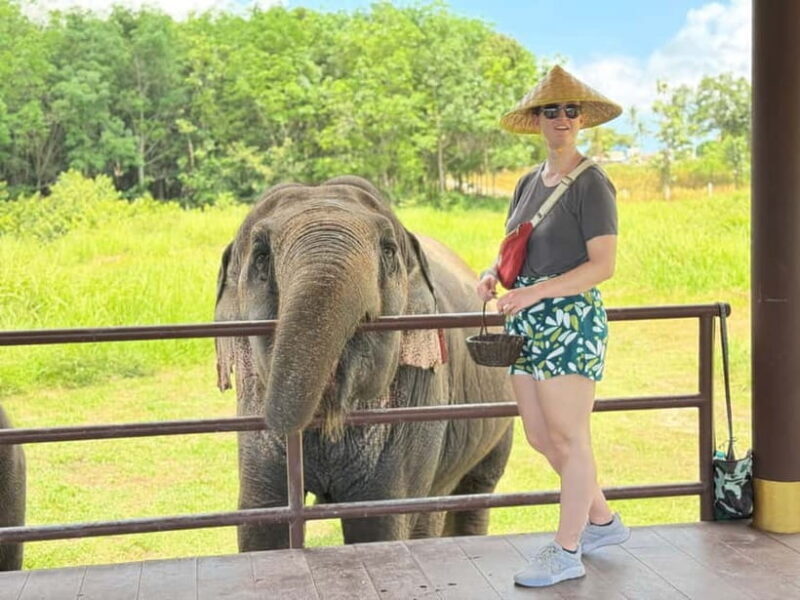 Samui: Elephant Home Sanctuary and the first elephant museum - The Setting and Logistics
