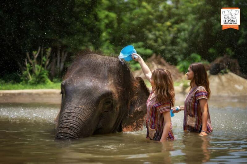 Samui: Elephant Sanctuary Tour - Jungle Walk & Swim - Frequently Asked Questions