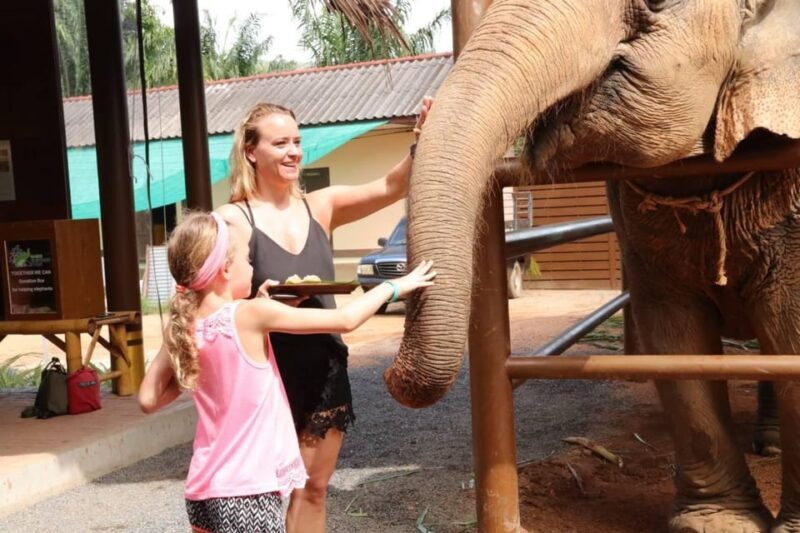 Samui: Feeding Program at the Elephant Home Nursery - FAQ