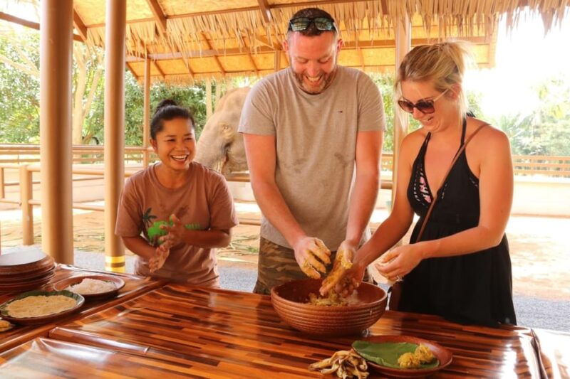 samui-feeding-program-at-the-elephant-home-nursery