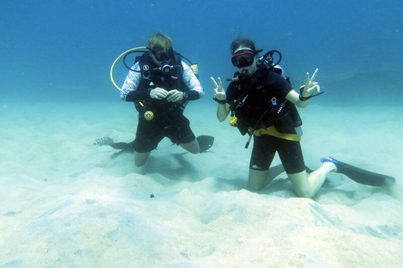 samui-intro-dive-in-koh-tao