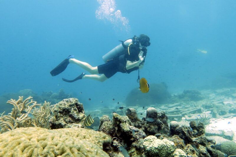 samui-intro-dive-in-koh-tao