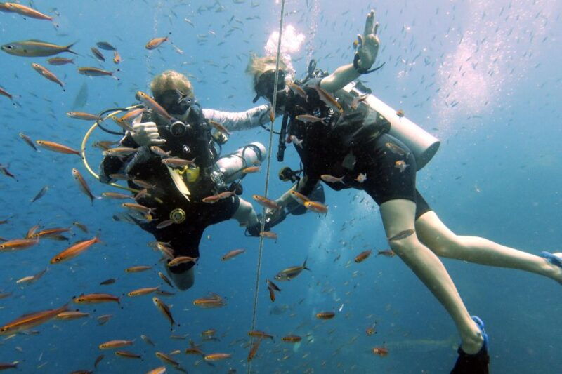 samui-intro-dive-in-koh-tao