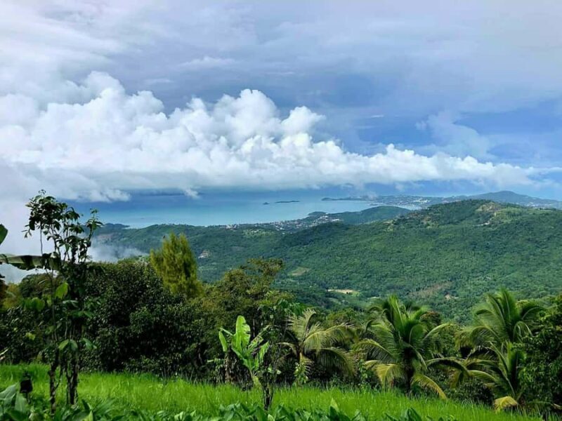 Samui: Jungle 4WD Buggy Experience with Mountain-view Lunch - FAQs