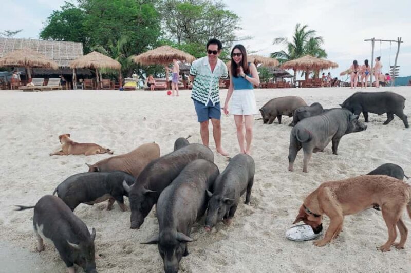 Samui: Pig Island Private Luxury Longtail Boat Tour - Key Points