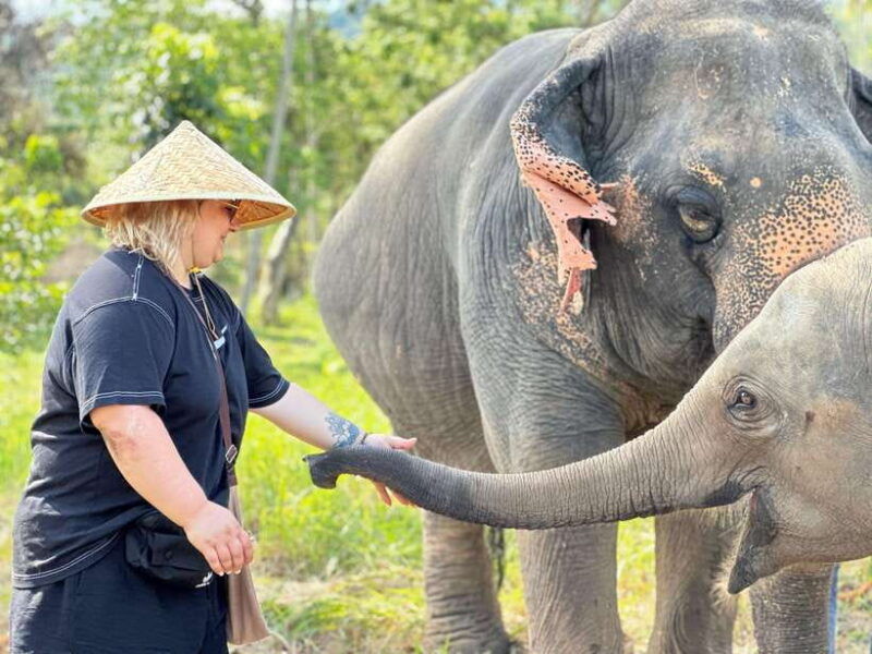 samui-the-first-elephant-museum-jungle-walk-with-elephant