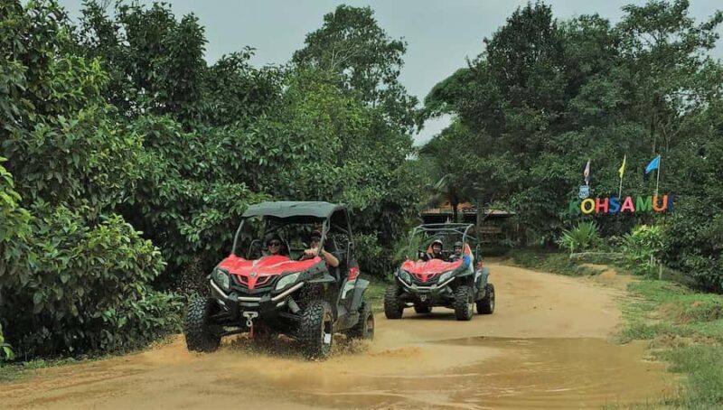 Samui X Quad 4WD Buggy Tour with lunch - Key Points