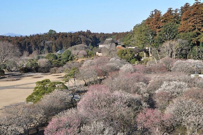 samurai-private-tour-with-lantern-making-in-mito