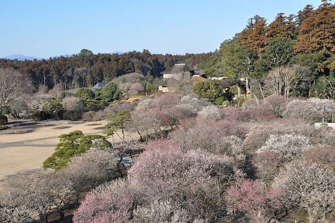samurai-private-tour-with-umeshu-tasting-in-mito