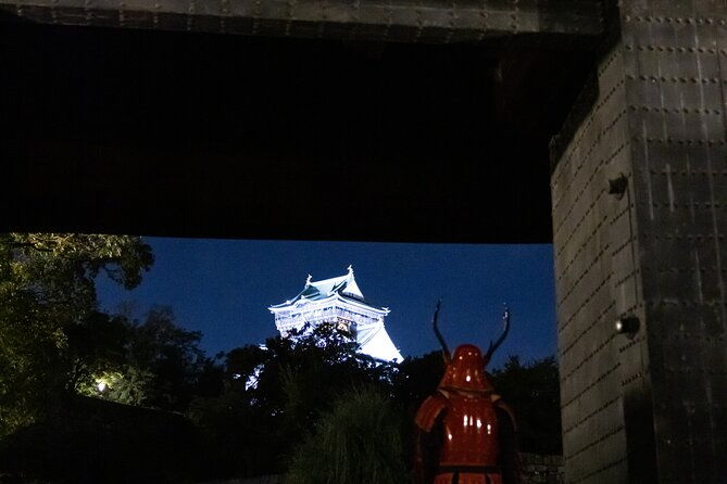 samurai-specific-osaka-castle-guides-private-tours-in-armor-photo