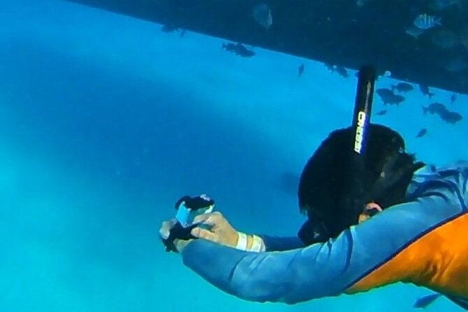 san-andreas-private-underwater-tour-with-glass-bottom