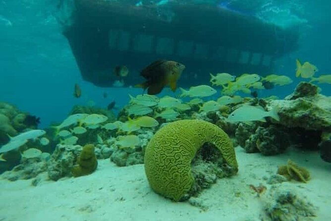 san-andreas-private-underwater-tour-with-glass-bottom