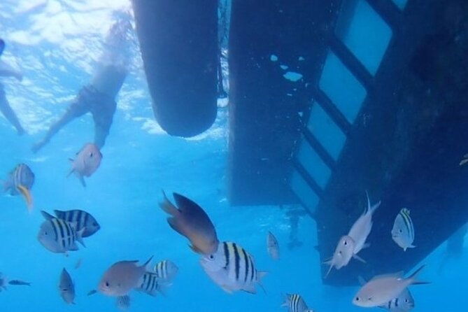 san-andreas-private-underwater-tour-with-glass-bottom