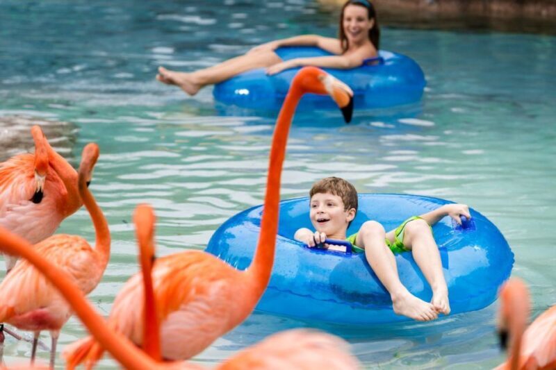 San Antonio: Aquatica Skip-the-Line Park Admission Ticket - Practical Tips for Your Visit