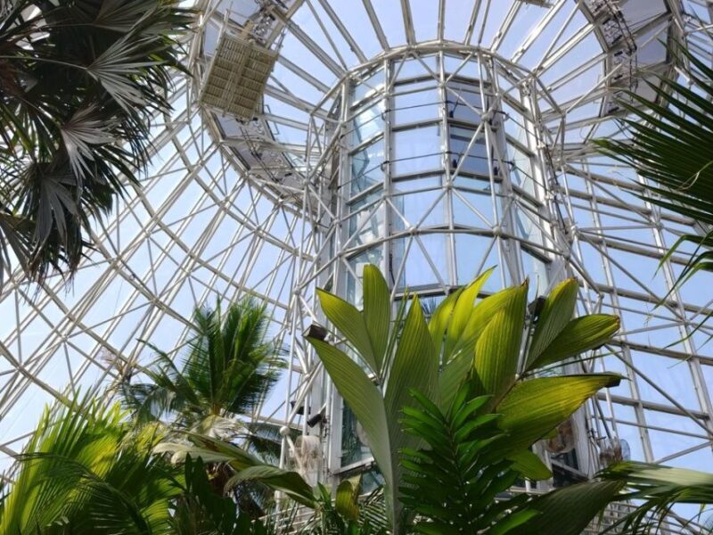 San Antonio CityPASS®: Save up to 51% on 4 Top Attractions - How Do the Tickets Work?