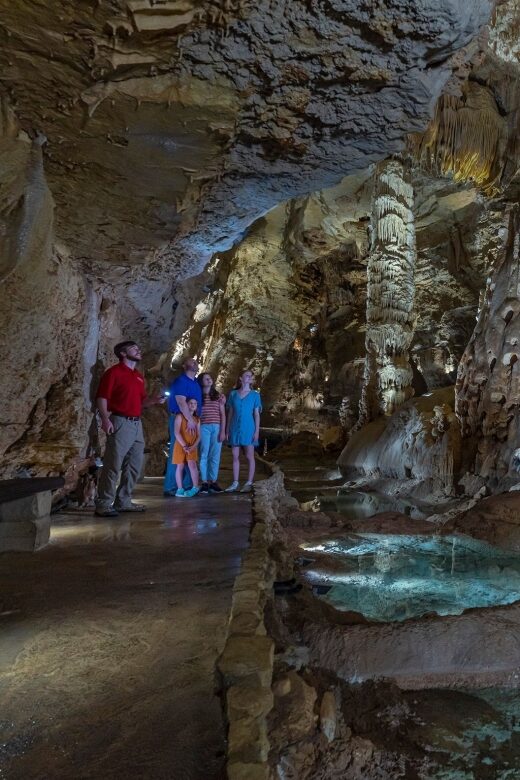 San Antonio: Discovery Tour at Natural Bridge Caverns - What to Expect from This Underground Journey