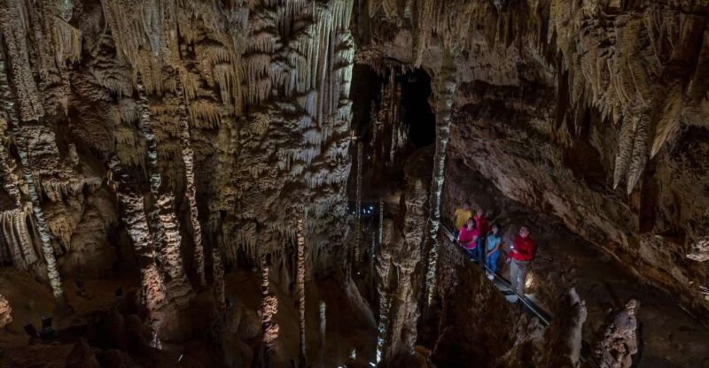 San Antonio: Discovery Tour at Natural Bridge Caverns - Special Features and Unique Aspects