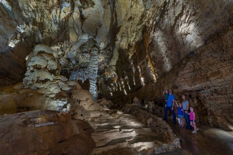 San Antonio: Discovery Tour at Natural Bridge Caverns - Authentic Experiences from Visitors