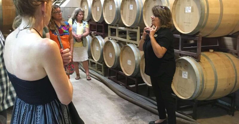 san-antonio-fredericksburg-wineries-day-trip-with-tastings