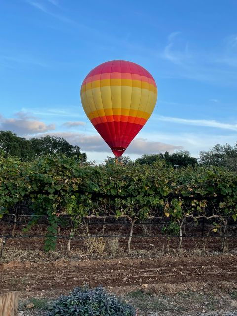 san-antonio-fredericksburg-wineries-day-trip-with-tastings