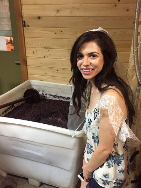 san-antonio-fredericksburg-wineries-day-trip-with-tastings