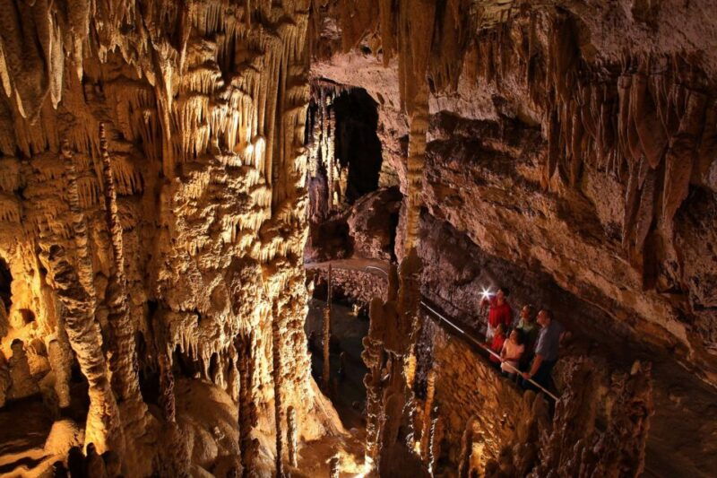 san-antonio-go-city-explorer-pass-with-25-attractions