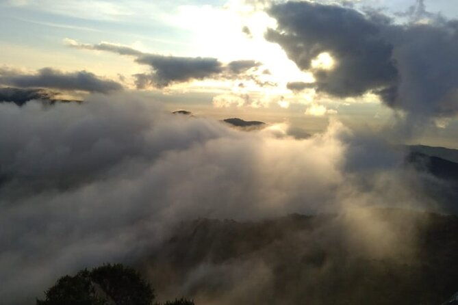 san-antonio-rain-forest-cali-private-tour