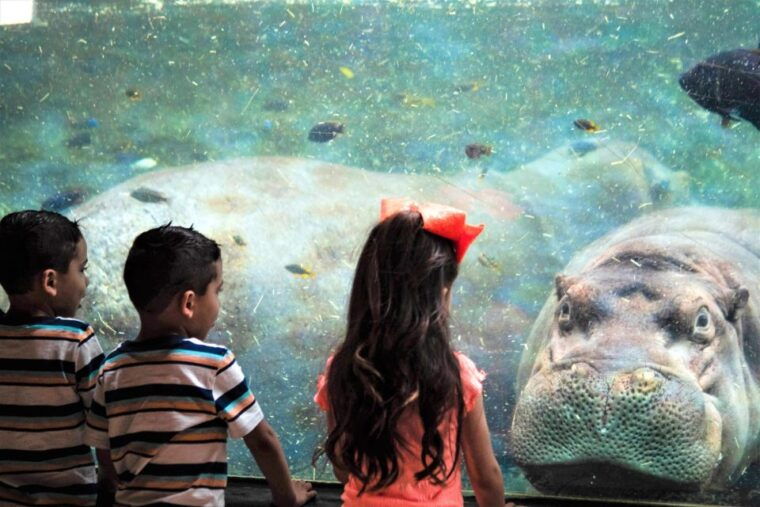 san-antonio-san-antonio-zoo-any-day-ticket