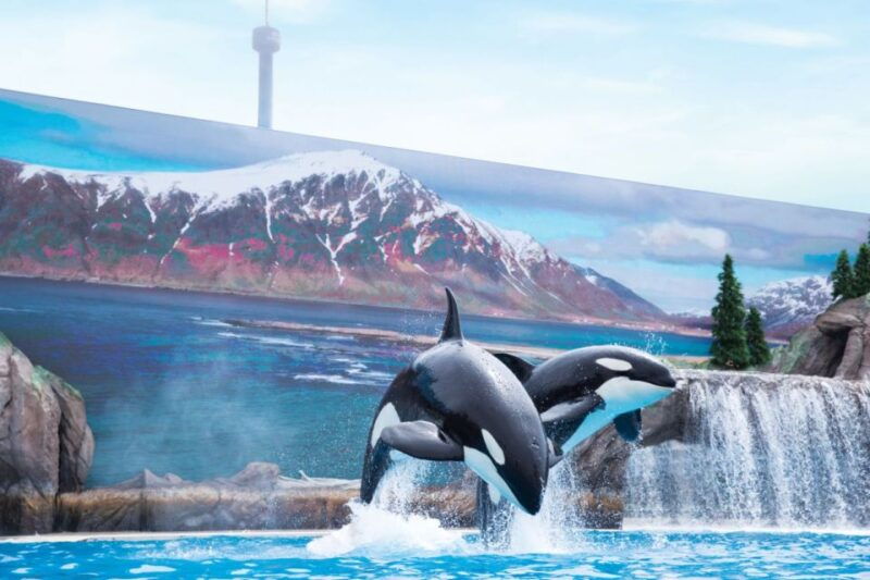 san-antonio-seaworld-skip-the-line-park-admission-ticket