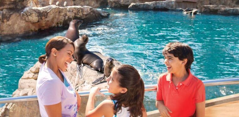 san-antonio-seaworld-skip-the-line-park-admission-ticket